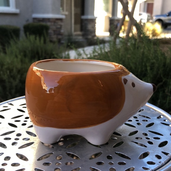 Harvey the Hedgehog Small Ceramic Planter Pot Decor & 2 Pairs of Socks Gift Set - Picture 4 of 14